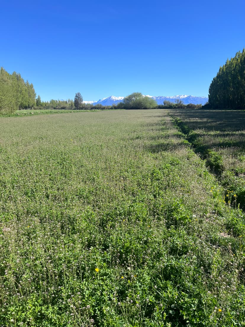 Vista de la Patagonia