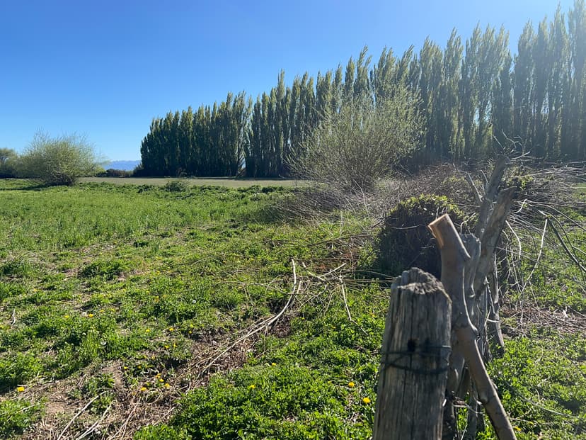Vista de la Patagonia